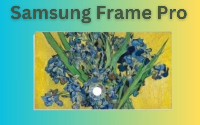 Samsung Frame Pro